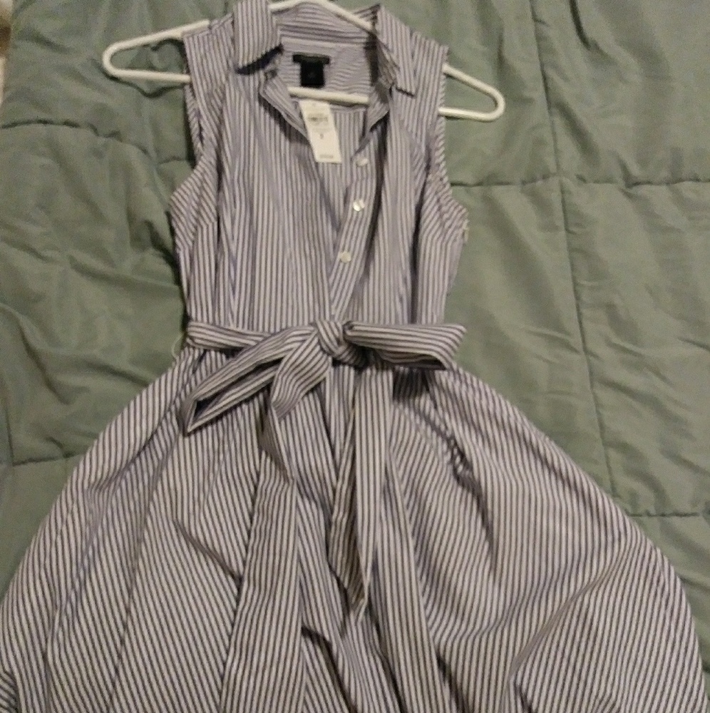 Ann Taylor Knee Length Striped Dress
